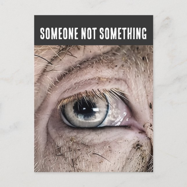 PIG Postcard, SOMEONE NOT SOMETHING Postkarte (Vorderseite)