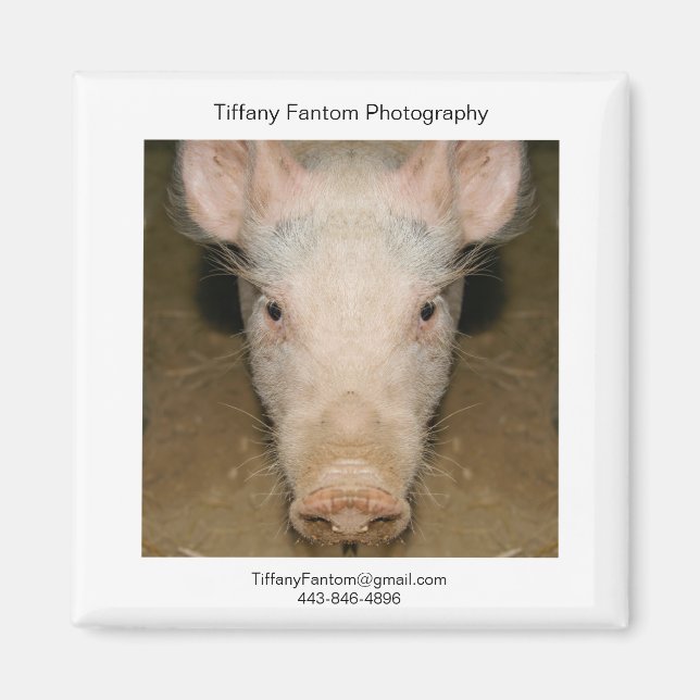 Pig Promo Piece Magnet (Vorne)