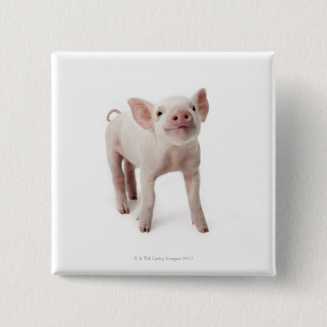 Pig Stehend nachsehen Button (Vorderseite)