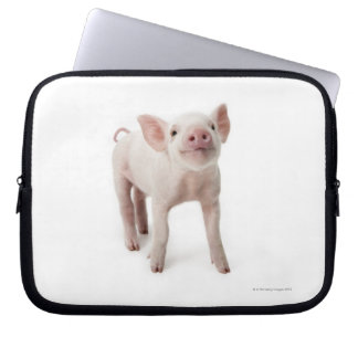 Pig Stehend nachsehen Laptopschutzhülle