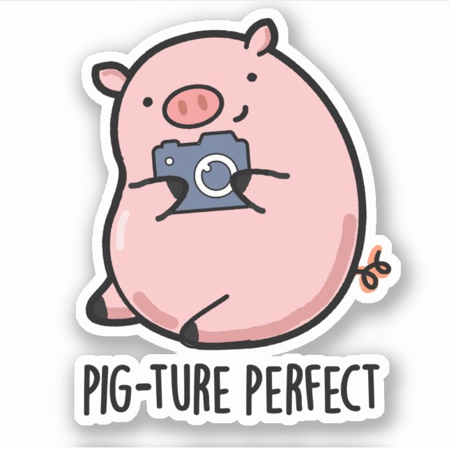 Pig-ture Perfect Funny Fotografy Pig Pun Aufkleber (Vorderseite)