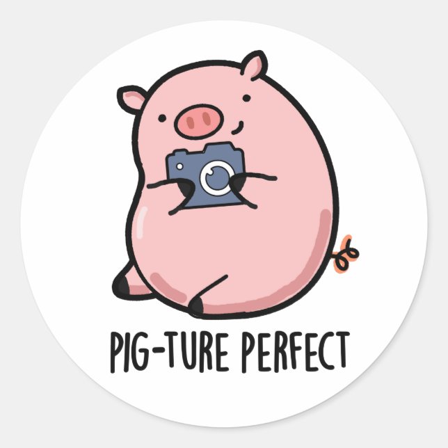 Pig-ture Perfect Funny Fotografy Pig Pun Runder Aufkleber (Vorderseite)