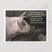 Pig Wisdom - ringen