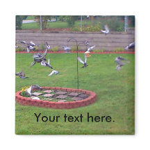 Pigegons Flying Bird Feeder Yard Magnete