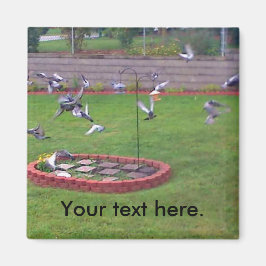 Pigegons Flying Bird Feeder Yard Magnete