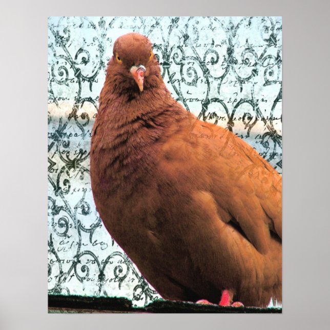 Pigeon Art Poster (Vorne)