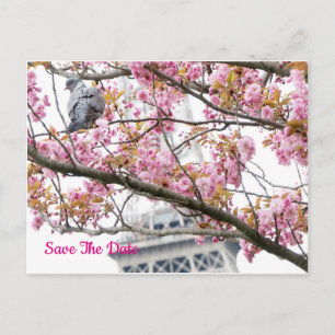 Pigeon Bird Eiffel Save the Date Tower Postcard Postkarte
