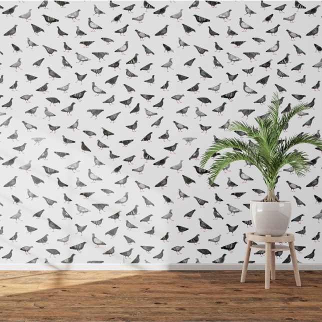 Pigeon Bird Tapete (Fun pigeon bird wallpaper)