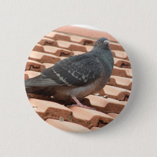 Pigeon Button