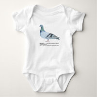Pigeon by NuancesdePigeon