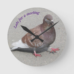 Pigeon clock runde wanduhr