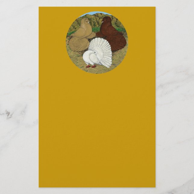 Pigeon Combo Briefpapier (Vorderseite)