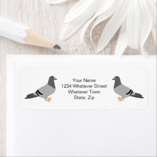 Pigeon Design