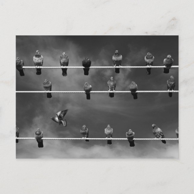 Pigeon Foosball Post Card Postkarte (Vorderseite)