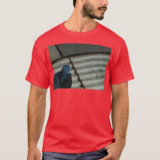 Pigeon-Fotografie T-Shirt