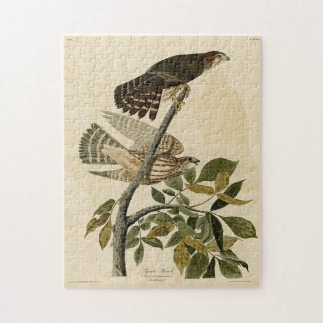 Pigeon Hawk (Merlin) - Audubons Vögel von Amerika Puzzle (Vertikal)