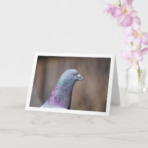 Pigeon Head Portrait Karte