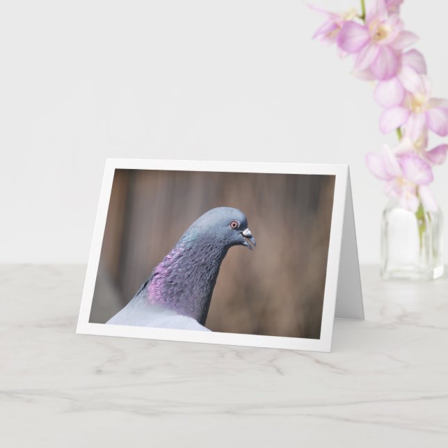 Pigeon Head Portrait Karte (Orchidee)
