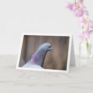 Pigeon Head Portrait Karte