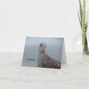 Pigeon "Hi There" Note Card Dankeskarte