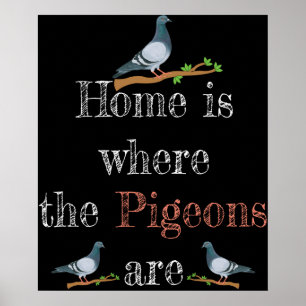 Pigeon Lover Pigeon Racing Gift Pigeon Zucht Poster