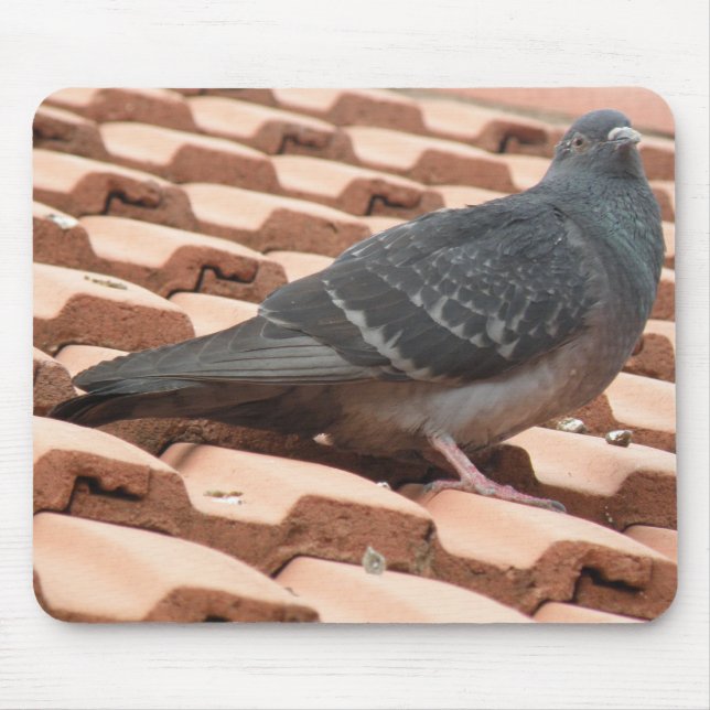 Pigeon Mousepad (Vorne)