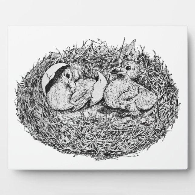 Pigeon Nest Babies Fotoplatte (Vorderseite)