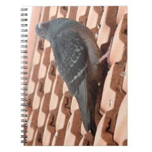 Pigeon-Notebook Notizblock