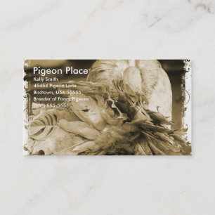 Pigeon Place Visitenkarte