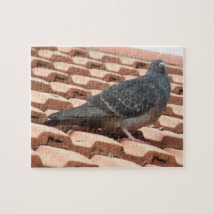 Pigeon Puzzle