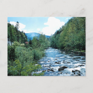 Pigeon River Postcard (historisch) Postkarte