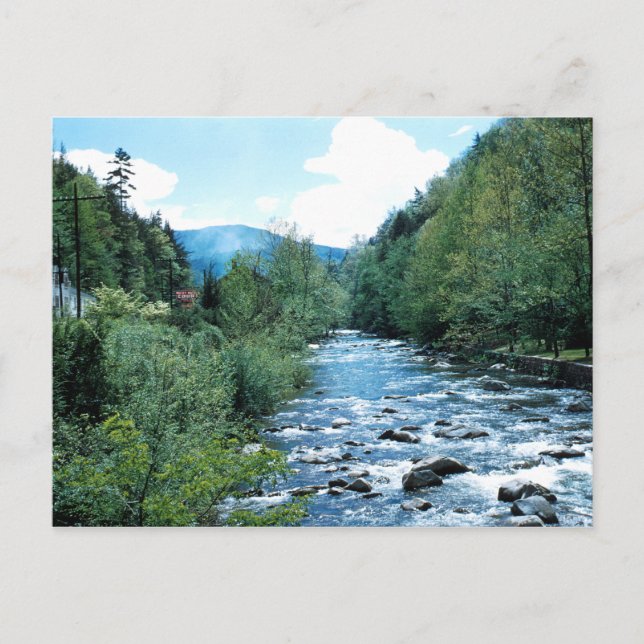 Pigeon River Postcard (historisch) Postkarte (Vorderseite)