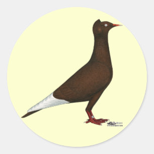 Pigeon Runder Aufkleber