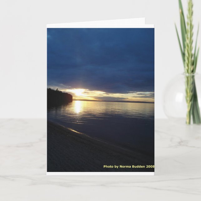 Pigeon See Notecards Karte (Vorderseite)