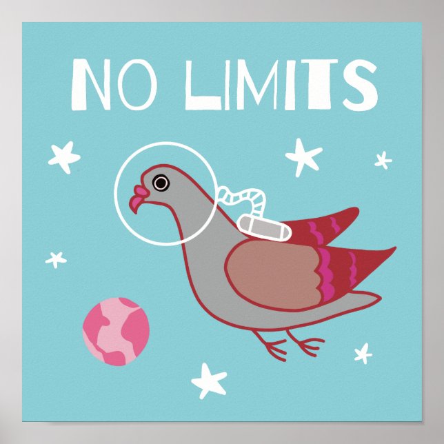 Pigeon Space Explorer Poster (Vorne)