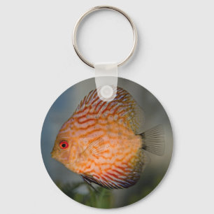 Pigeon Stone Discus Keyring Schlüsselanhänger