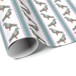 Pigeon Streifen Geschenkpapier