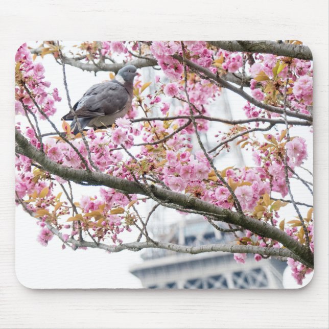 Pigeon und Eiffelturmmousepad Mousepad (Vorne)