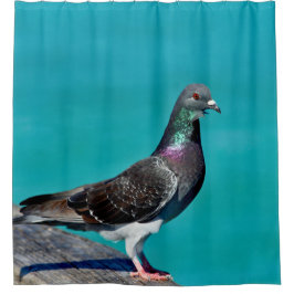 Pigeon With A View Duschvorhang