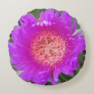 Pigface Round Pillow Rundes Kissen