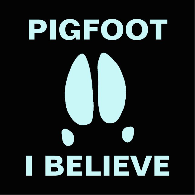 Pigfoot - Ich glaube Fotoskulptur Magnet (Vorne)