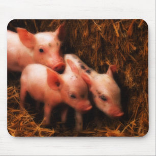 PIggies Mousepad