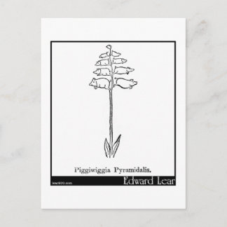 Piggiwiggia Pyramidalis. Postkarte