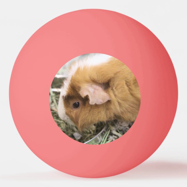 Piggy Golf Hat Clip Tischtennisball (Vorderseite)