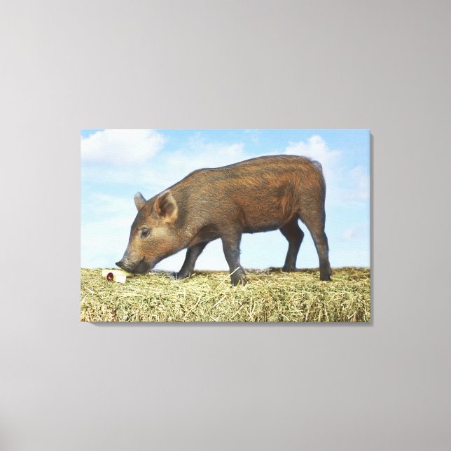 Piglet Eating Leinwanddruck (Vorderseite)