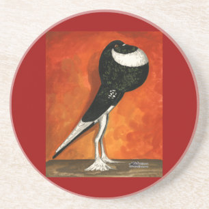 Pigmy Pouter Pigeon Black Pigeon Sandstein Untersetzer