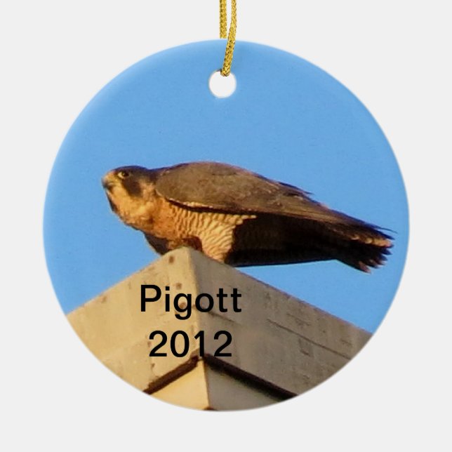 Pigott Verzierung 2012 Keramik Ornament (Vorne)