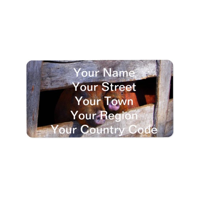 PigPen Pair Peking Schweine Adressaufkleber (Vorne)