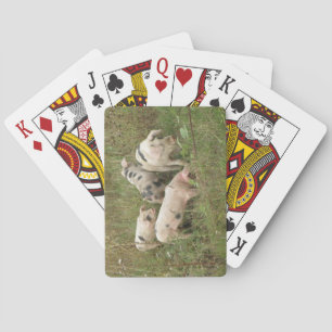 Pigs in a Field Playing Cards Spielkarten