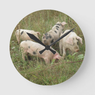 Pigs in a Field Wall Clock Runde Wanduhr